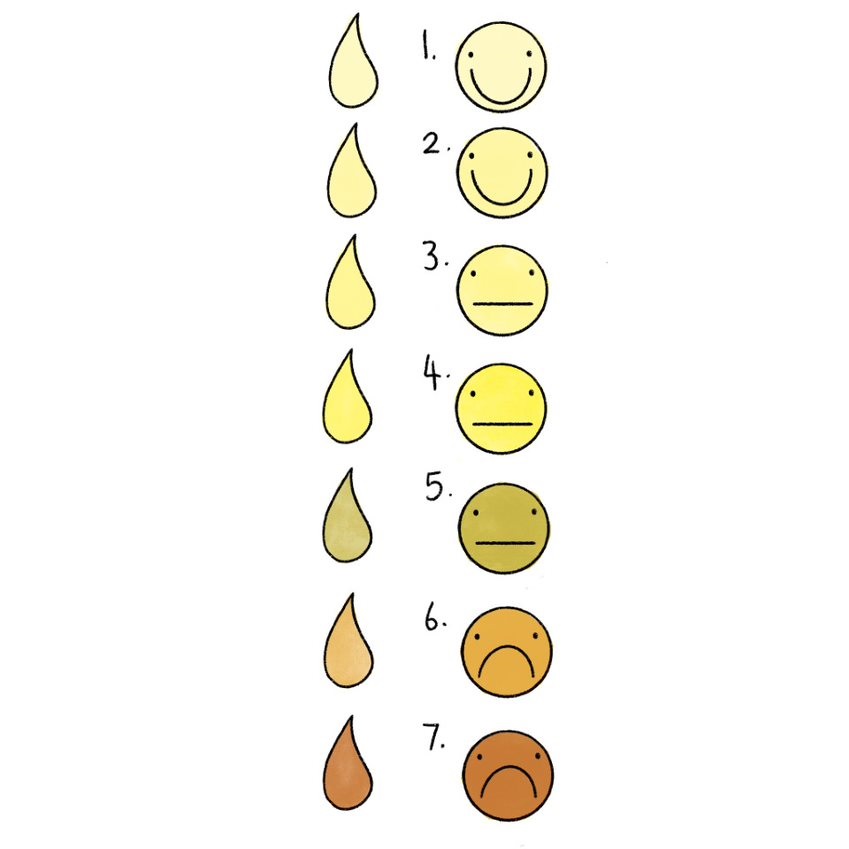 Urine Colour Chart