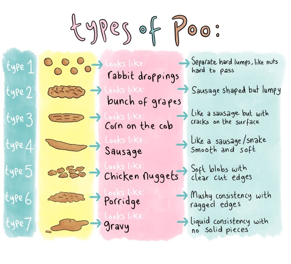 types of poo.jpg